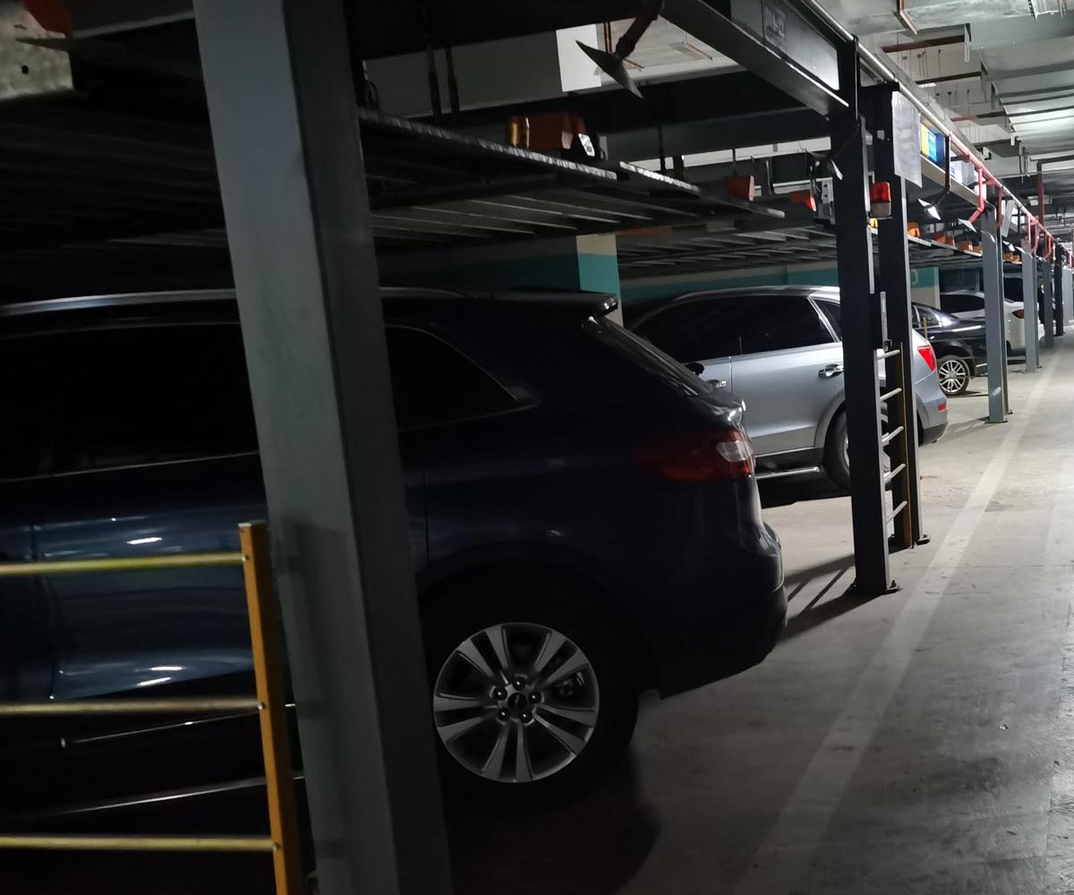 龙胜简易式立体樱花免费视频网址观看位