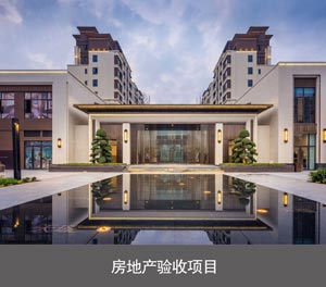 PJS机械立体樱花免费视频网址观看设备房地产验收项目